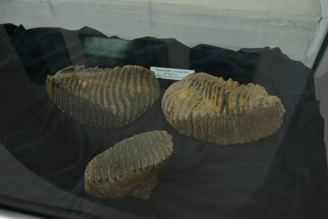 A picture containing indoor, wall, table

Description generated with high confidence