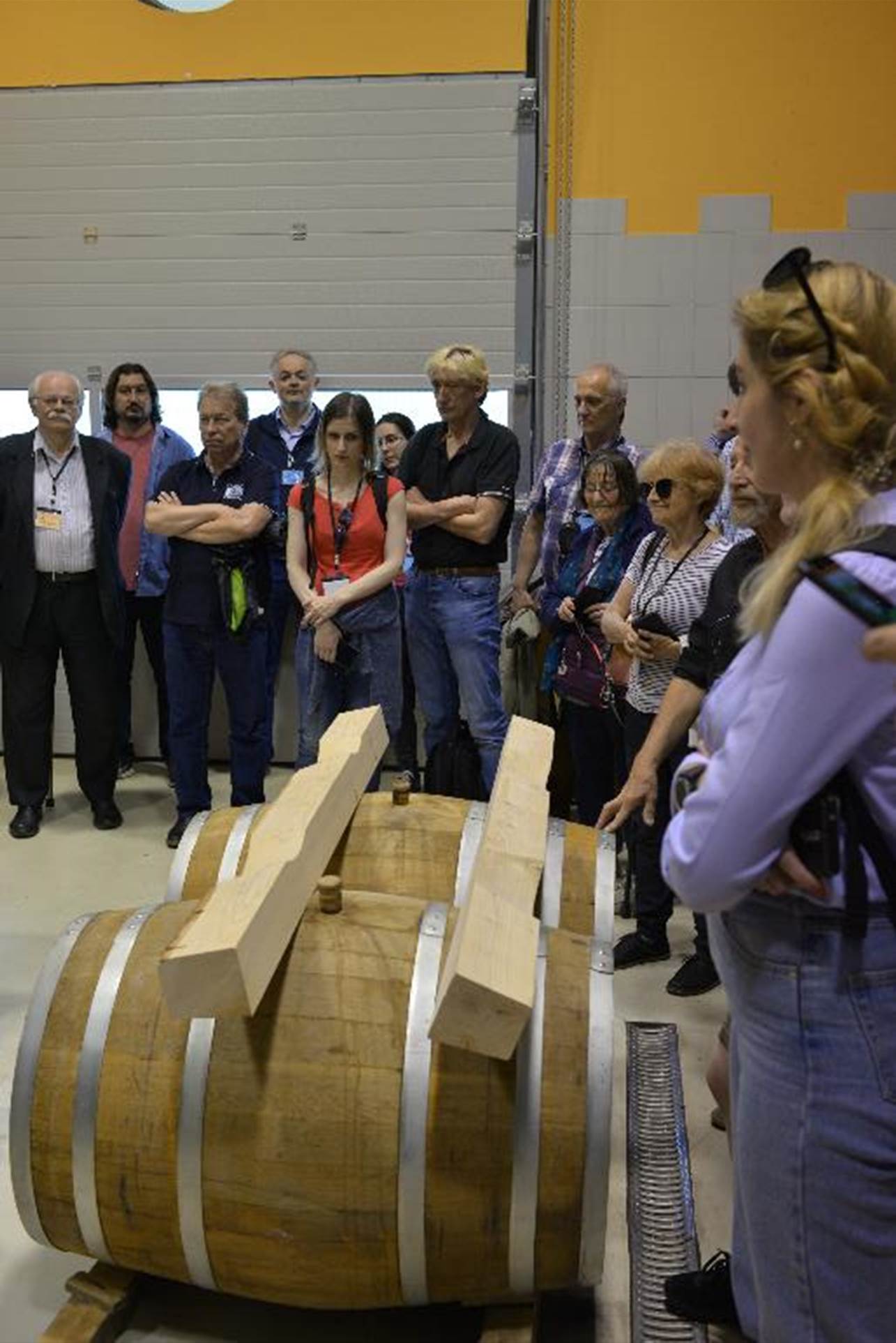 A picture containing indoor, wall, sitting

Description automatically generated